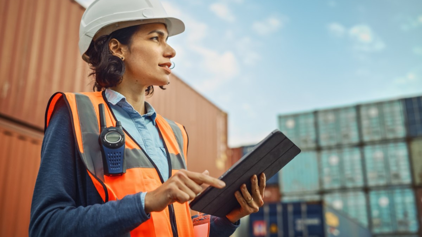 benefits-custom-logistics-software