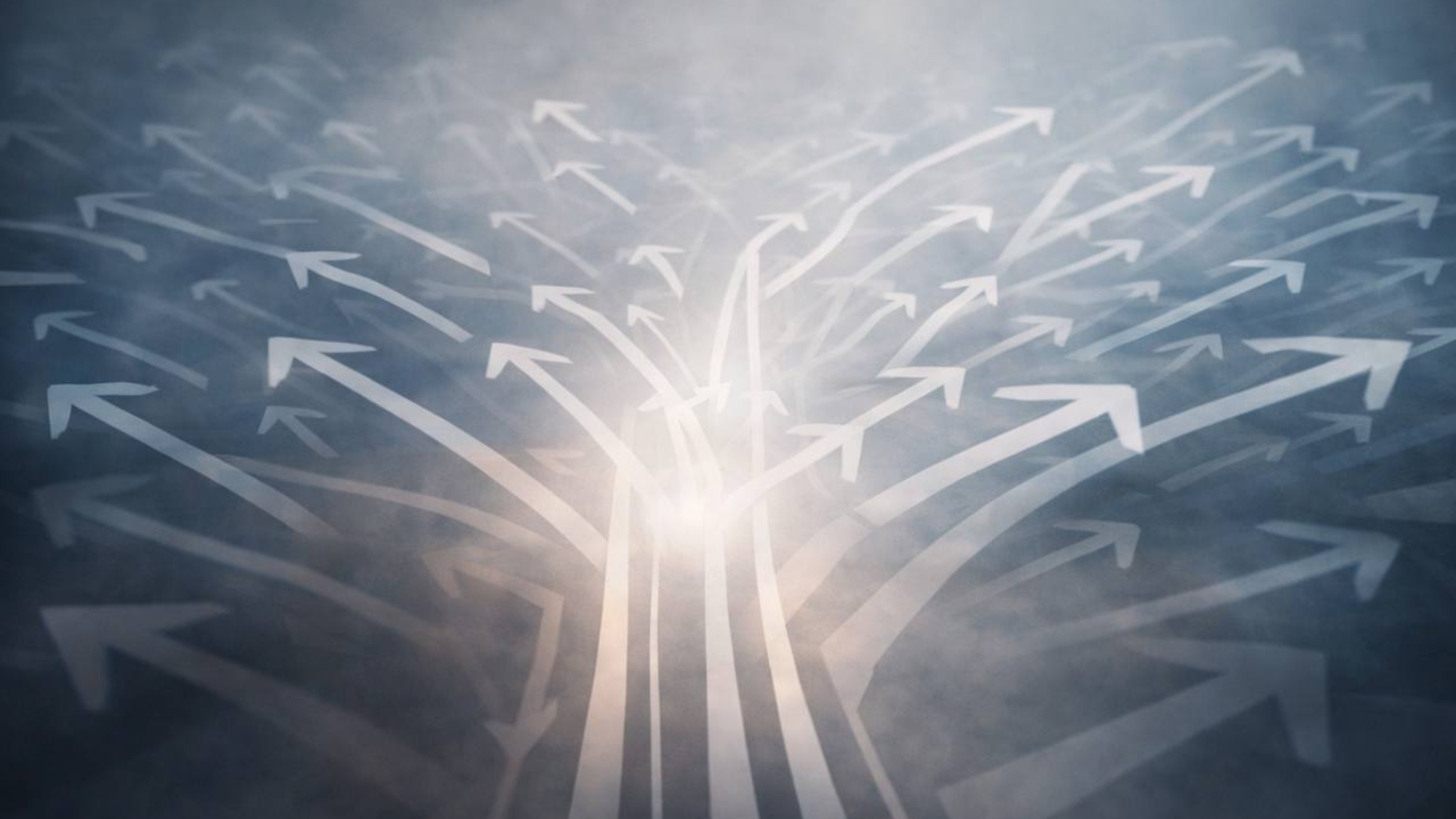 photo_2026-01-12_18-23-09