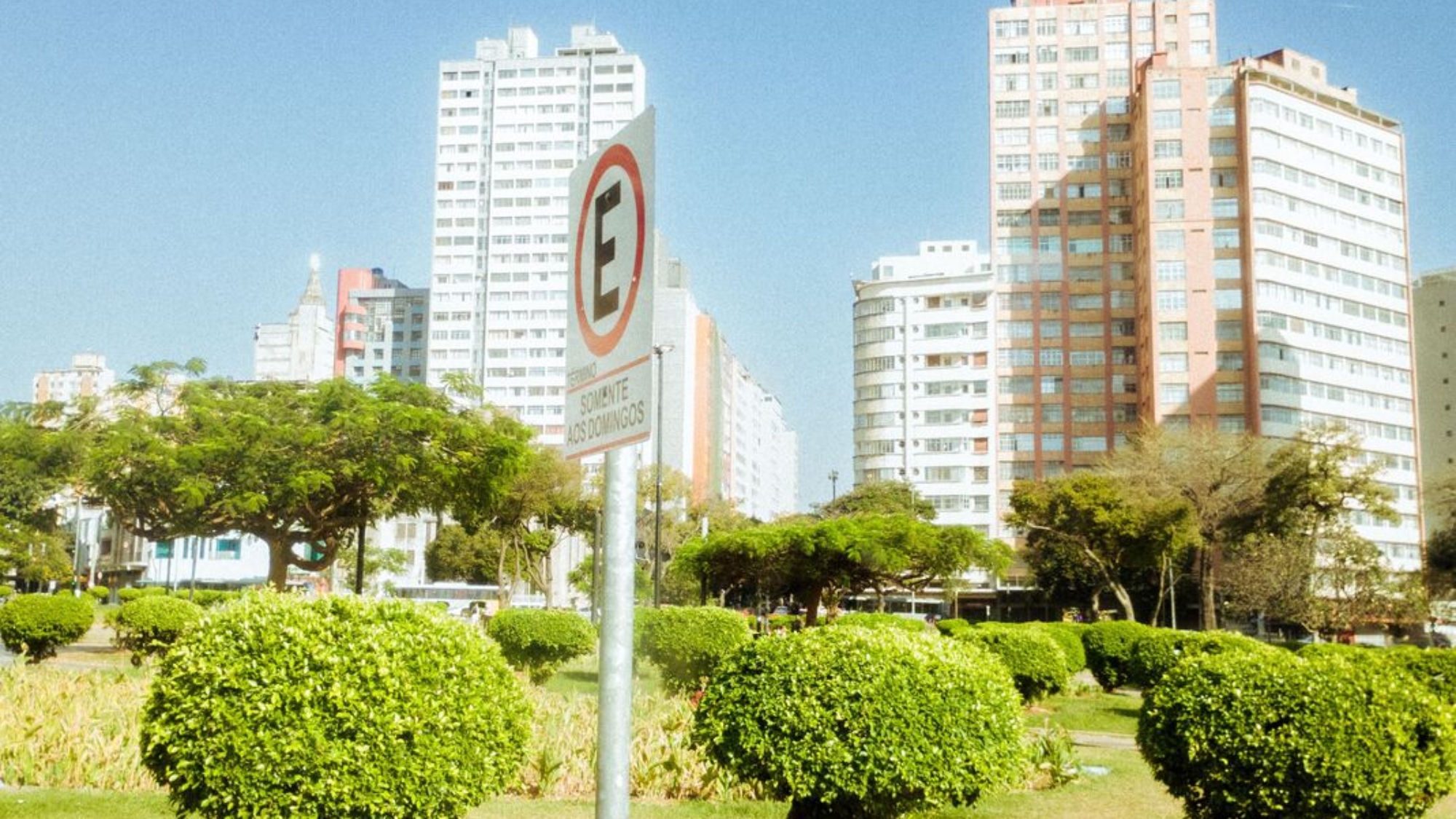pexels-tais-alves-1765268295-335